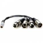 Atomos Lemo to XLR Breakout Cable for the Shogun Monitor/Recorder (AO-ATOMCAB016) Atomos Lemo to XLR Breakout Cable for the Shogun Monitor/Recorder (AO-ATOMCAB016)